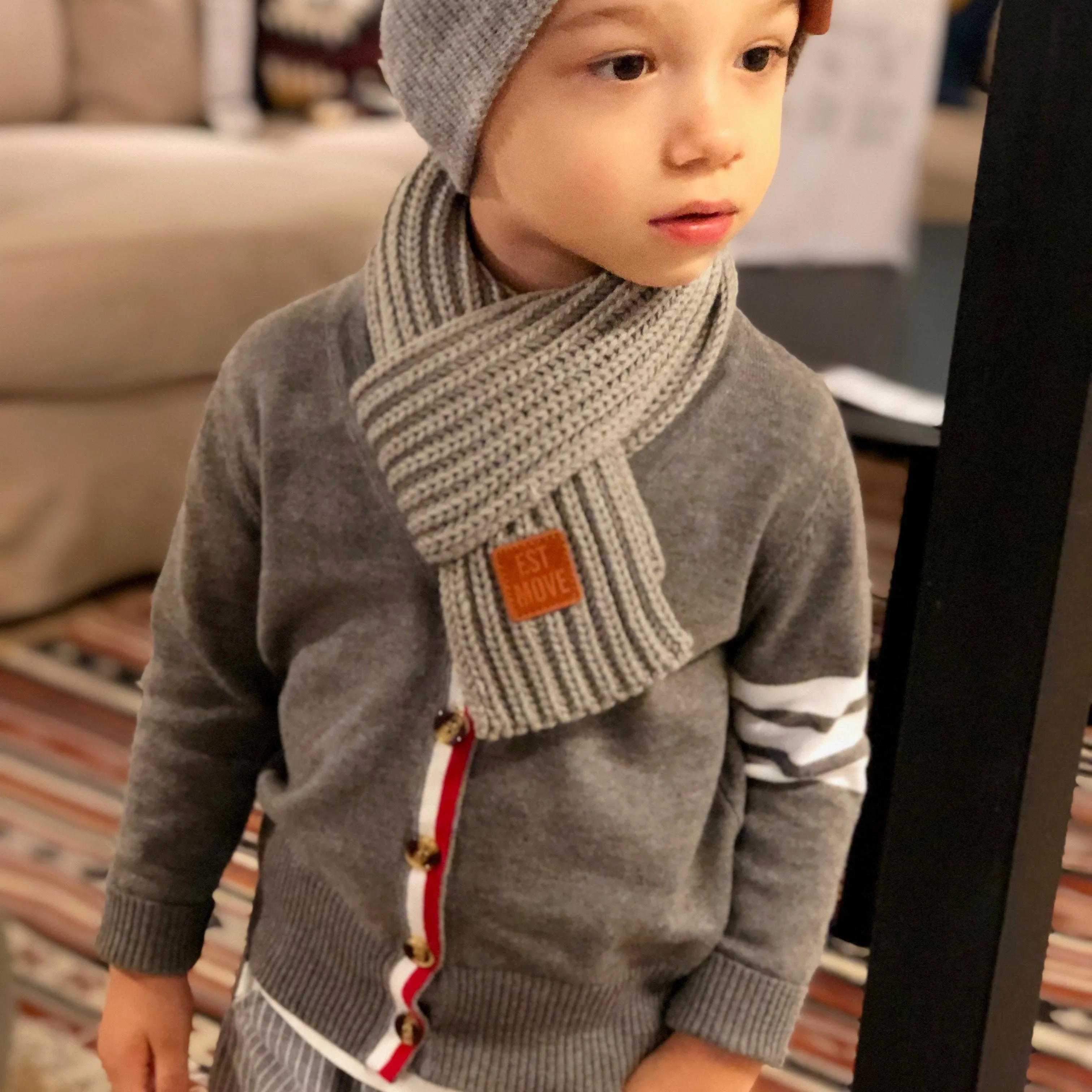 Boys Striped Sleeve Cardigan. Gray.
