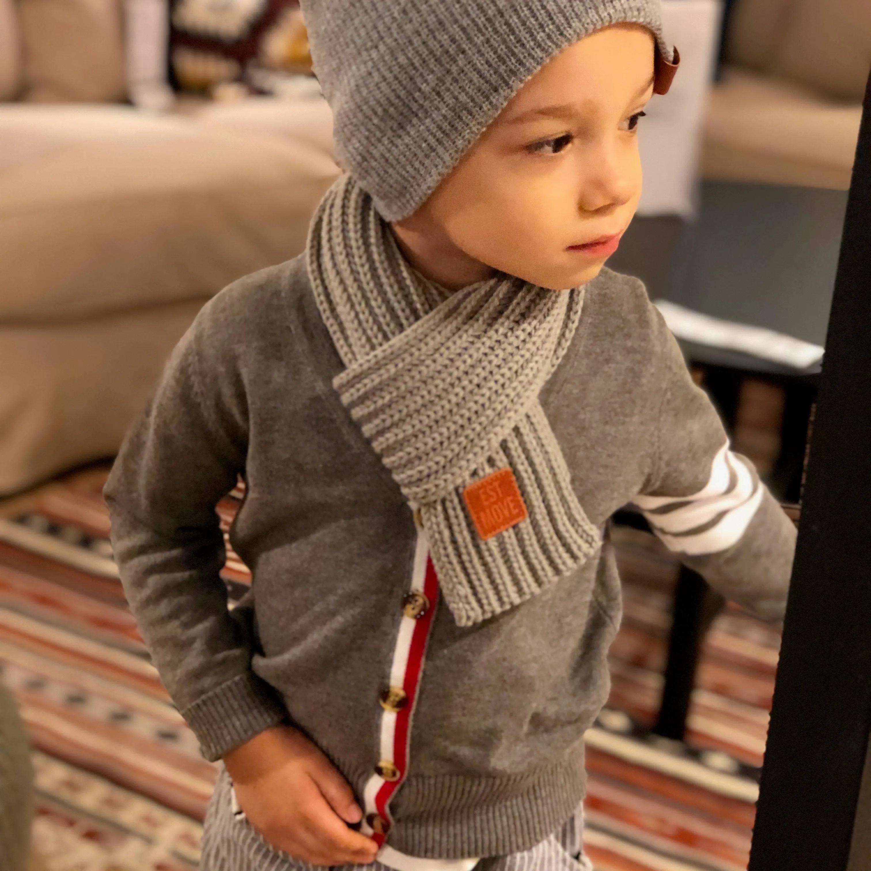 Boys Striped Sleeve Cardigan. Gray.